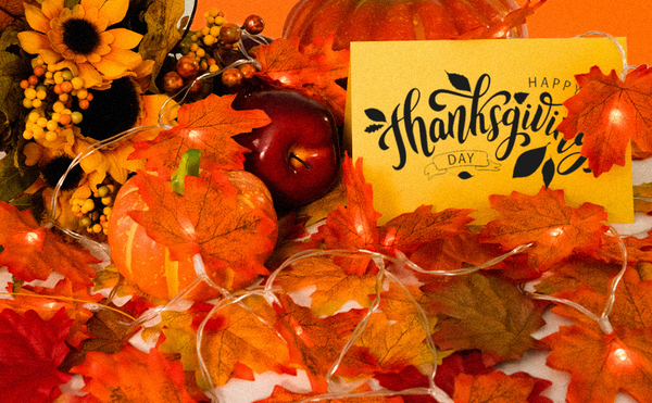 Fall Leaves Lights - Image 4