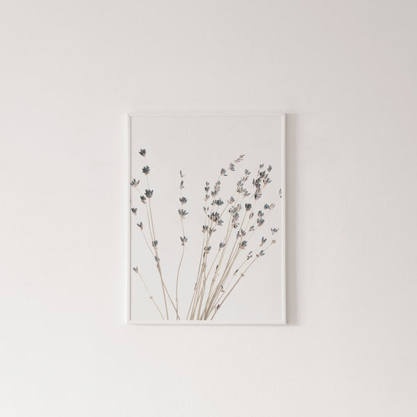 Botanical Canvas Paintings (3 Pack) - Image 3