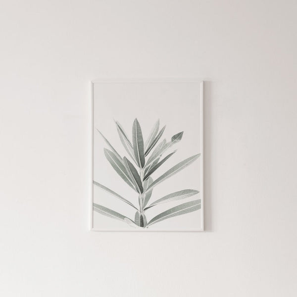 Botanical Canvas Paintings (3 Pack) - Image 5