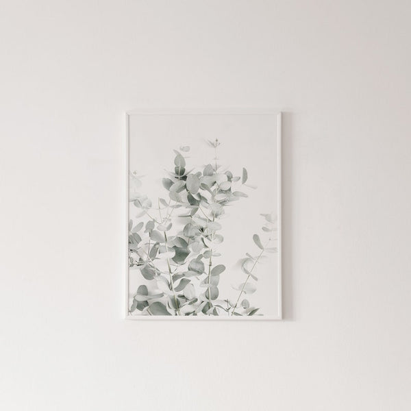 Botanical Canvas Paintings (3 Pack) - Image 4