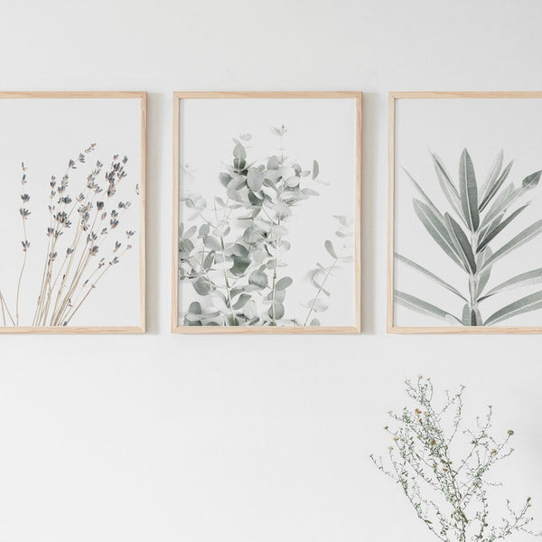 Botanical Canvas Paintings (3 Pack) - Image 2